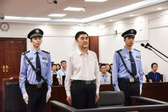 国家发改委原副主任努尔·白克力一审被