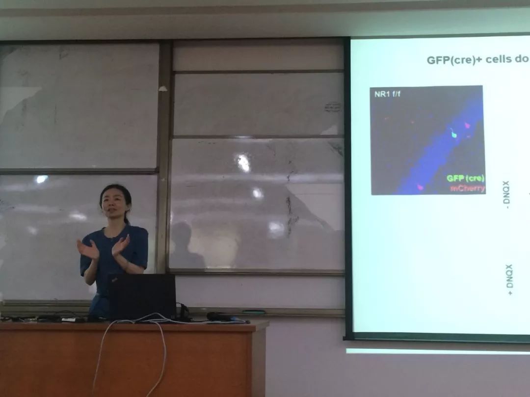 2016年6月21日，牟阳灵教授在北京大学作学术报告 图/北京大学官网