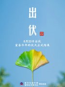 后天出伏啦！当心“秋老虎”发威！