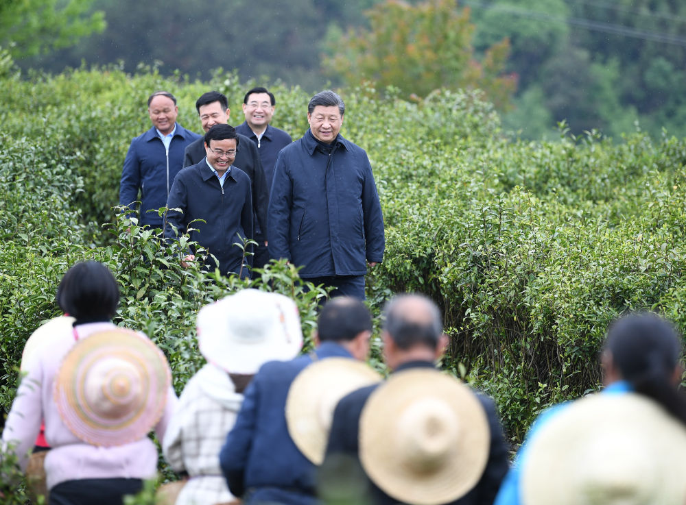 2020年4月21日，习近平来到陕西省安康市平利县老县镇，在茶园考察脱贫攻坚情况。新华社记者 燕雁 摄