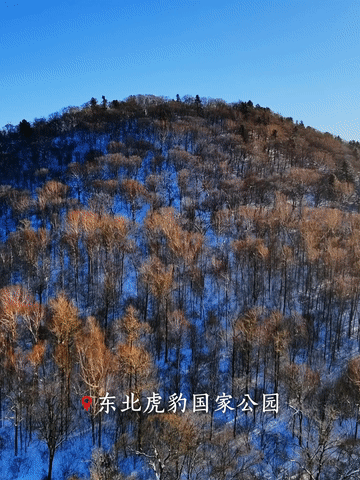 跟着总书记，从国家公园看“万物共生”